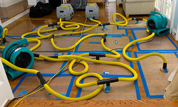 Professional Sewage Cleanup technician working in San Felipe, TX